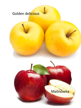 Duo Jabłoń Malinowa + Golden Delicious START PACK