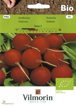 Rzodkiewka Saxa 2 nasiona ekologiczne BIO