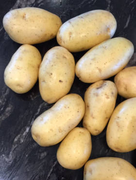 Ziemniak konsumpcyjny Primabelle 25kg w kalibrze sadzeniaka