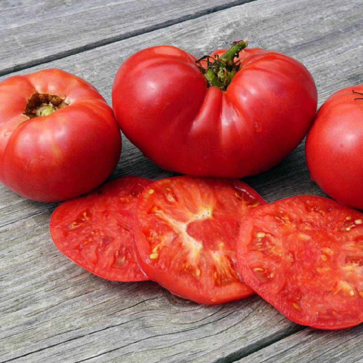 Pomidor gruntowy wysoki Ikarus duży mięsisty 0,5g Sadowniczy.pl