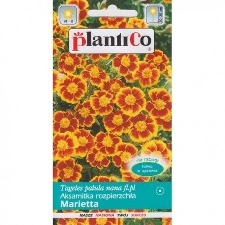 Aksamitka niska Marietta drobnokwiatowa 1g Plantico