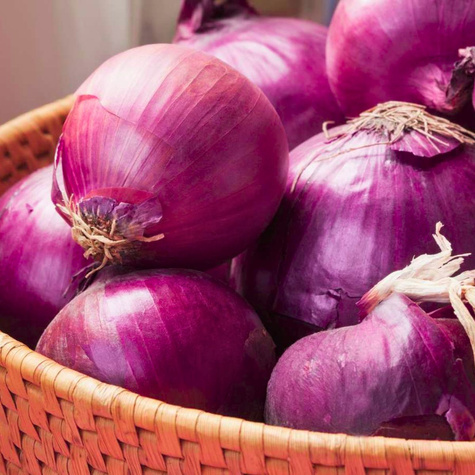 Cebula czerwona Scarlet średniopóźna 500g
