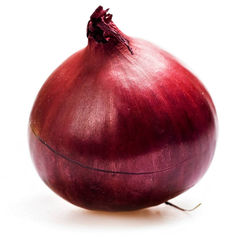 Cebula czerwona Wenta późna 100g