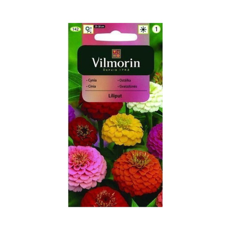 Cynia wytworna karłowa Liliput mix 1g