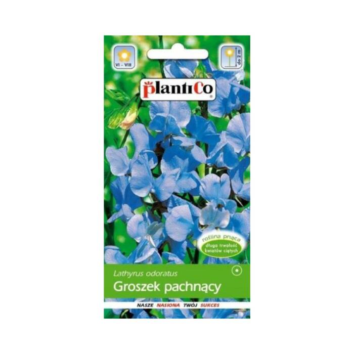 Groszek pachnący jasno niebieski  2 g Plantico