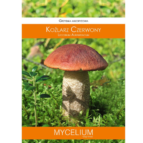 Grzybnia mikoryzowa Koźlarz czerwony 60 ml