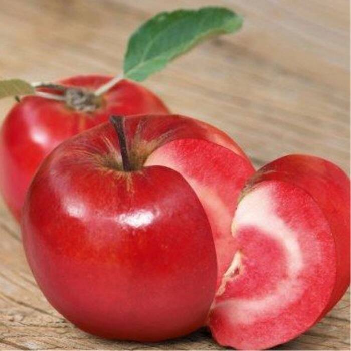 Jabłoń typu Red Loove czerwony miąższ Plant Pack