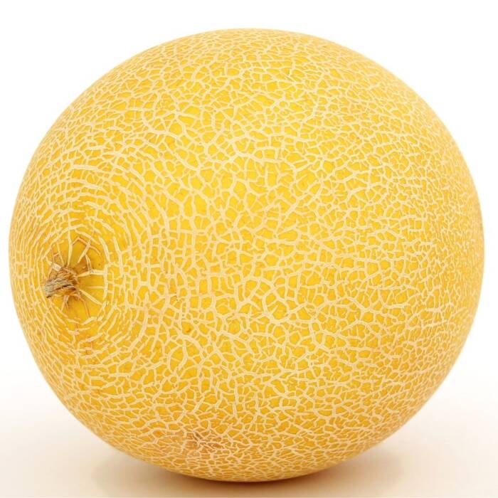 Melon Ananas średniowczesny 1g