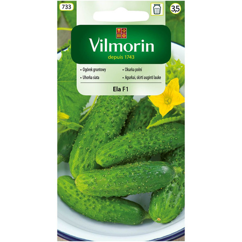 Ogórek gruntowy Ela mieszaniec f1 5g