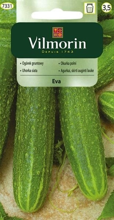Ogórek gruntowy sałatkowy Eva 5g