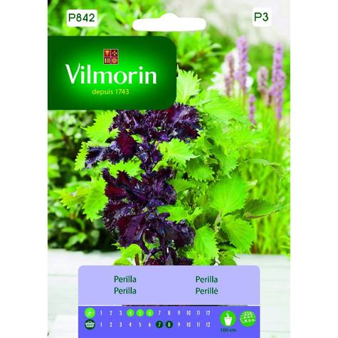 Perilla Shiso Japońskie ziele 2g