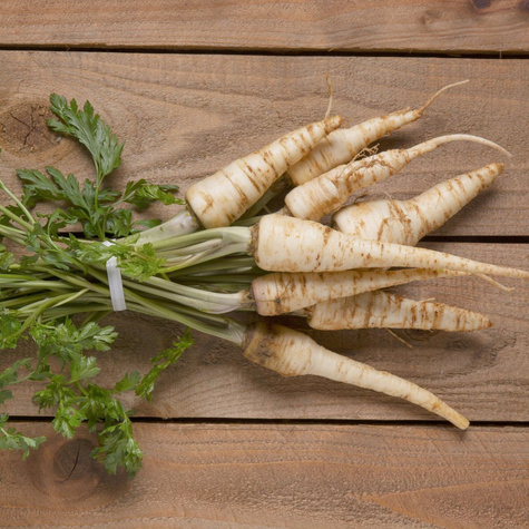 Pietruszka korzeniowa Ołomuńcka 500g