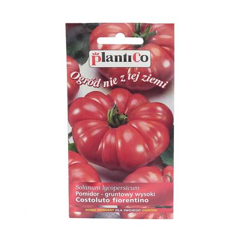 Pomidor gruntowy Costoluto fiorentino