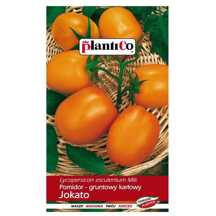Pomidor gruntowy karłowy Jokato 0,5g