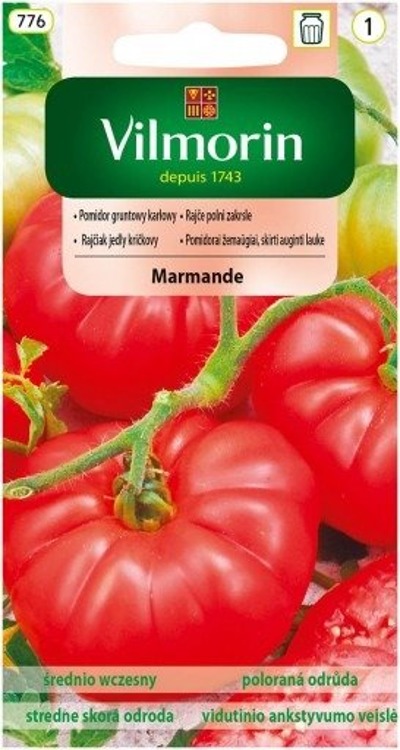Pomidor gruntowy wysoki Malinowy Marmande 1g
