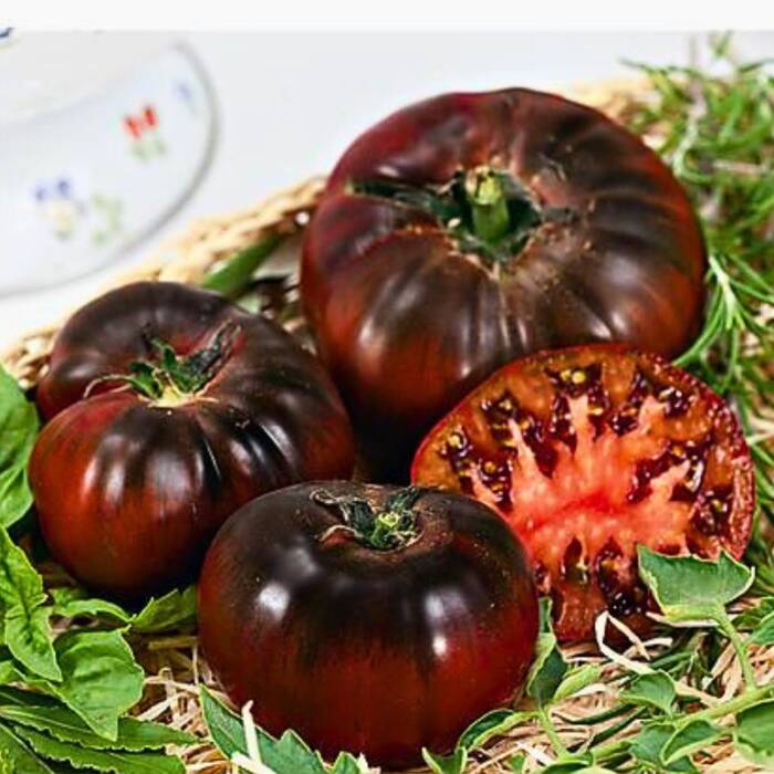 Pomidor gruntowy wysoki Noire de Crimee 0,2g