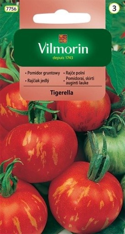 Pomidor gruntowy wysoki Tigerella F1 0,5g