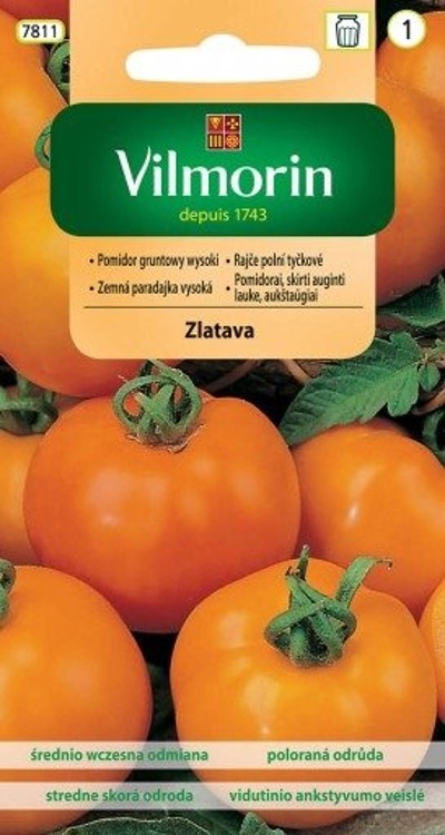 Pomidor gruntowy wysoki Zlatava 0,2g