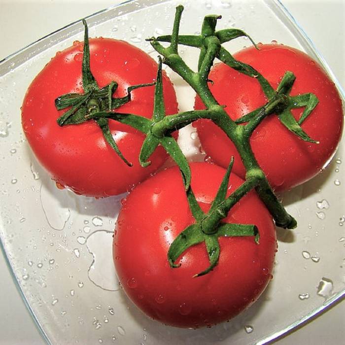 Pomidor malinowy Ożarowski wysoki do tunelu i gruntu, wczesny malinowy 10g