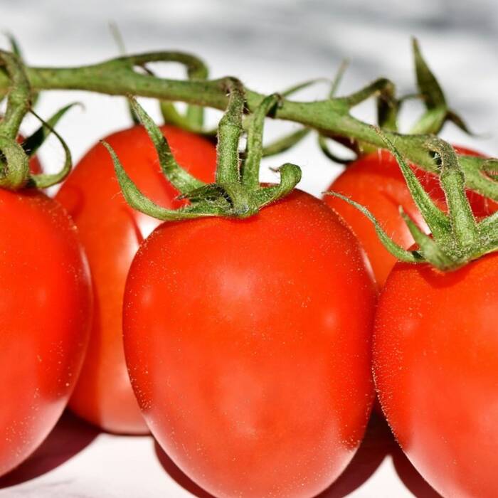 Pomidor szklarniowy Big Mama Mieszaniec F1 0,1g