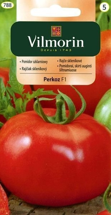 Pomidor szklarniowy Perkoz Mieszaniec F1 0,2g