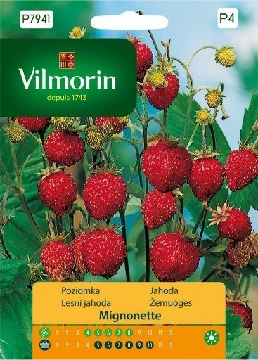 Poziomka Mignonette 0,1 g
