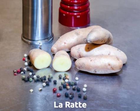 Sadzonki ziemniaka w doniczce LA RATIE