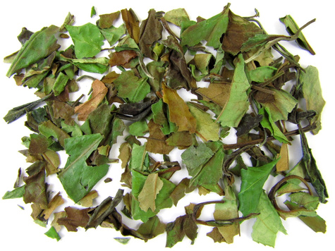 Shou Mei herbata biała 50g naturalna