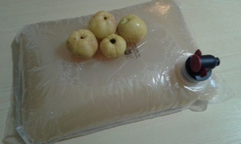 Sok tłoczony z owoców pigwowca japońskiego 5L