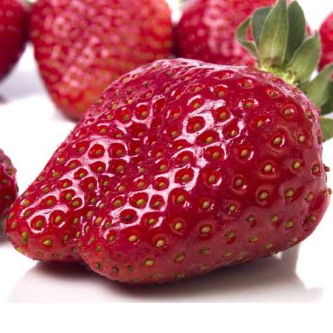 Truskawka Olbrzymia FRIGO