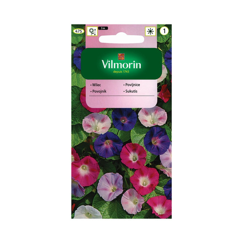 Wilec purpurowy, Powój pnący mix 5g