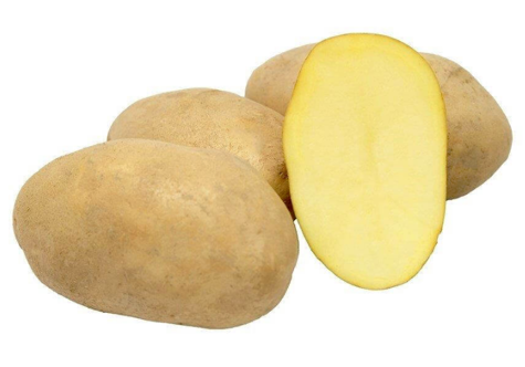 Ziemniaka Tonacja podobna do odmiany Denar 25kg w kalibrze sadzeniaka