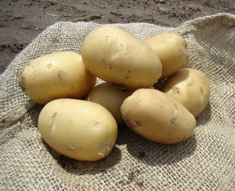 Ziemniaki Valletta 1kg